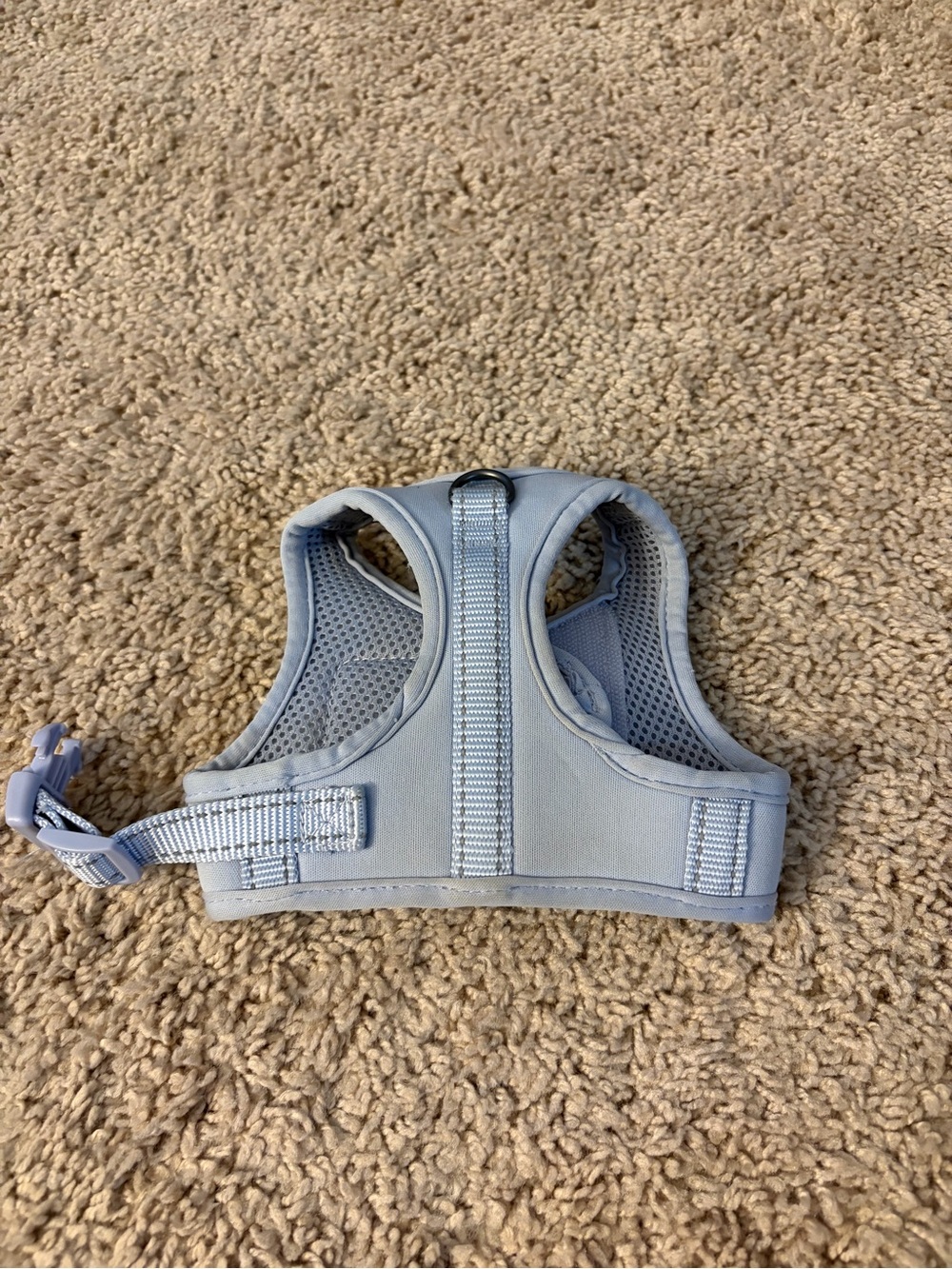 Boots & Barkley Light Blue Padded Dog Harness